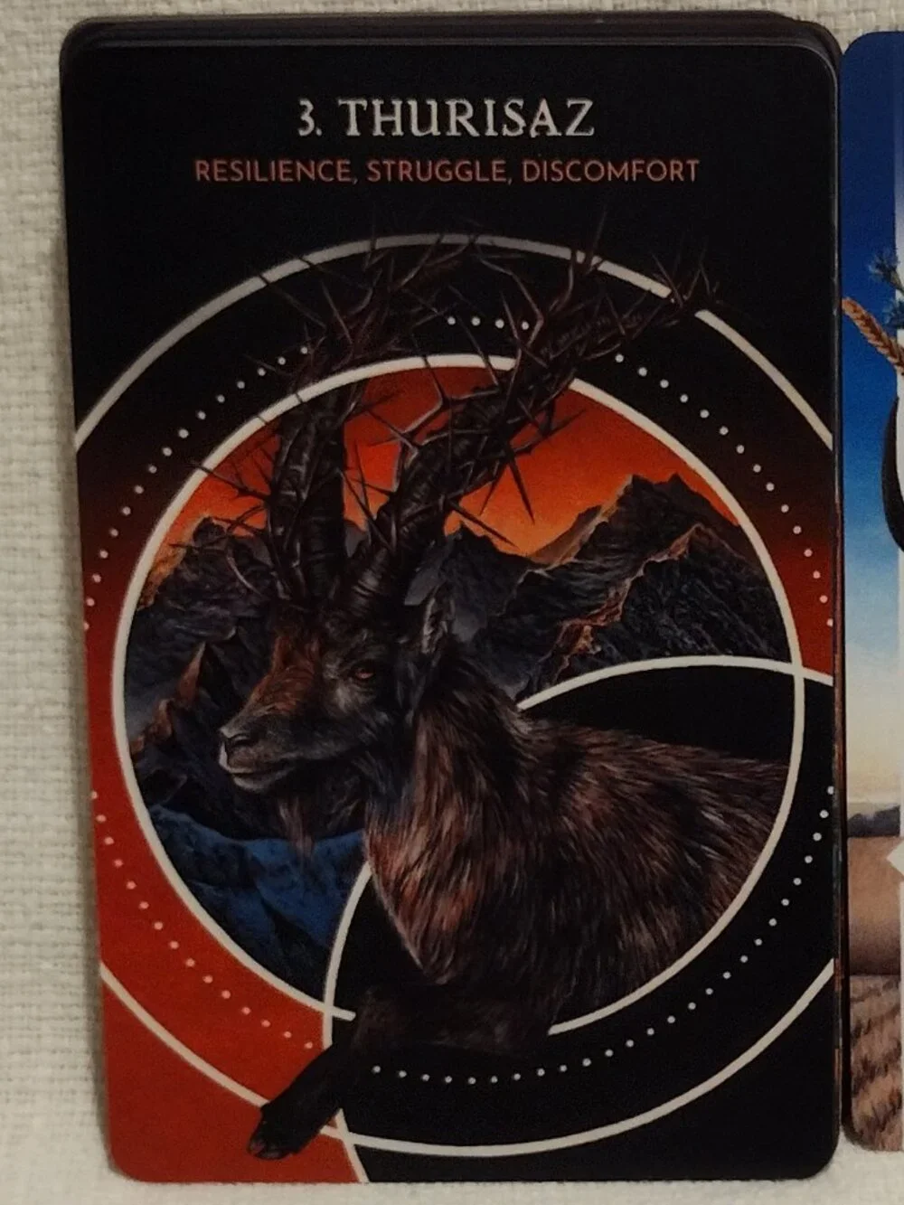 Animal Guide Rune Cards - Picture 10 of 14